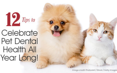12 Tips to Celebrate Pet Dental Health All Year Long!