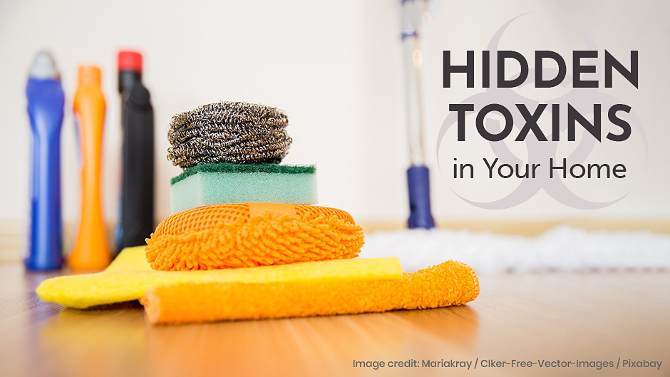 Hidden Toxins in Your Home